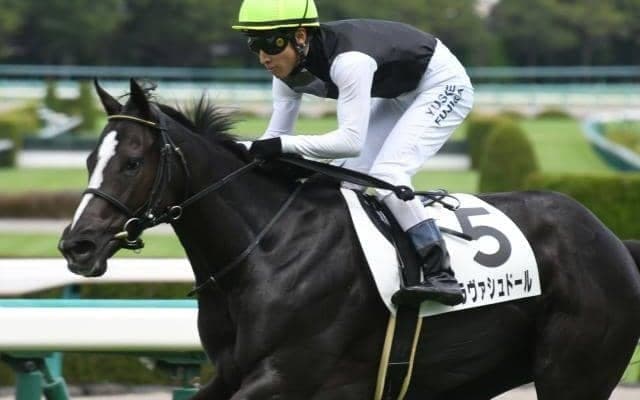 【ローズS展望】中京開催の秋華賞トライアル、あの馬の巻き返しを期待したい