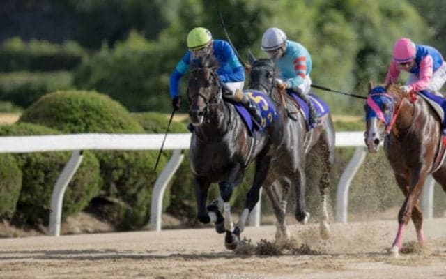 【浦和・オーバルスプリント】JRA出走予定馬