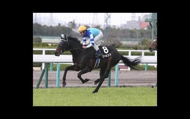 過去データを吟味。セントライト記念で高配当を呼ぶ３頭が見つかった