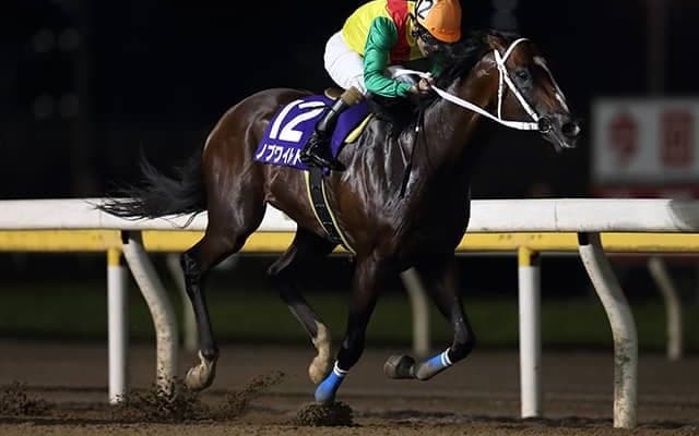 【浦和・オーバルスプリント予想】 地方勢の躍進が目立つ一戦！ 地元ノブワイルドの3連覇なるか!?/地方競馬レース展望