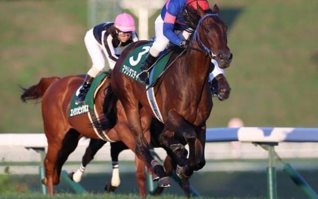 【盛岡・ジュニアグランプリ結果】マツリダスティール快勝、4年ぶりの地元馬V