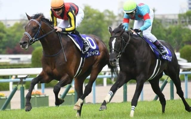 【オールカマー見どころ】GI3勝のフィエールマンら好メンバーが激突