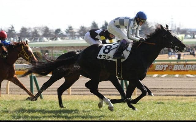 キスラー、プリュスが順調に仕上がる