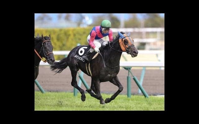 神戸新聞杯はコントレイルが盤石。それでも押さえるべき２頭がいる