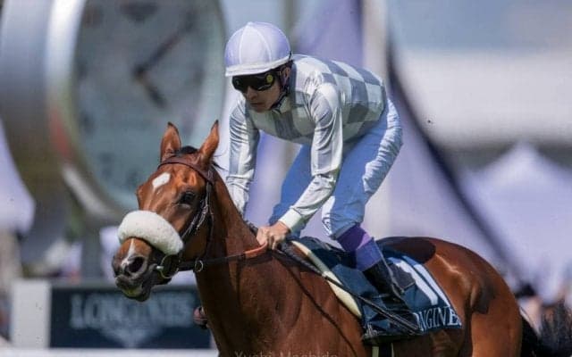 【海外競馬】アマレナ 復帰戦が決定！バリー師「秋の重馬場が合う」