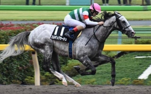 【金沢・白山大賞典枠順確定】エルデュクラージュは1枠1番、マスターフェンサーは8枠11番