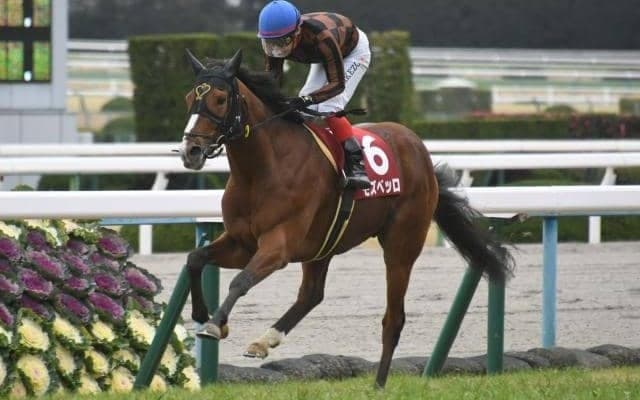 【次走】モズベッロが外傷で天皇賞・秋を回避　年内出走も困難