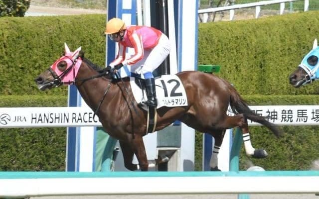 【本日の注目ポイント】中山でダートOPながつきS、2歳OPカンナSなど　中京では有力2歳馬出走