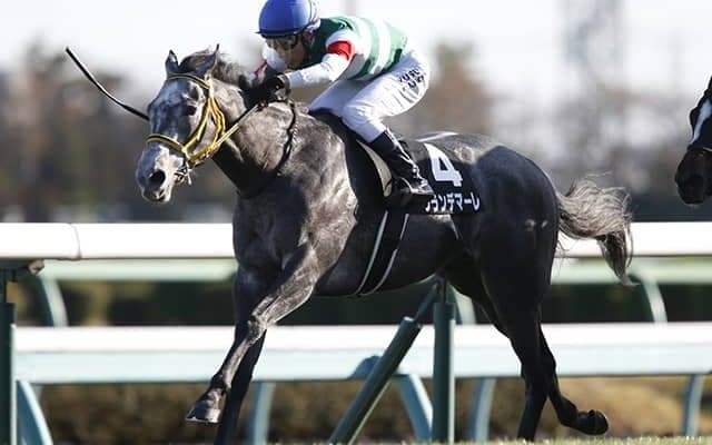 【神戸新聞杯予想】 打倒コントレイルを目論む馬たちを馬体から斬る！ パドックのスペシャリストはどう判断した？/JRAレース展望