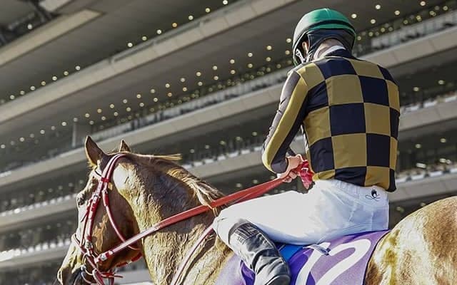 【次走】モズアスコットは横山武史騎手と新コンビで南部杯へ