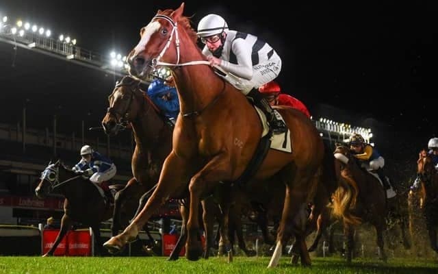 【豪州競馬】D.レーン騎手騎乗のピッピーがG1・モイアS優勝/海外競馬レース結果