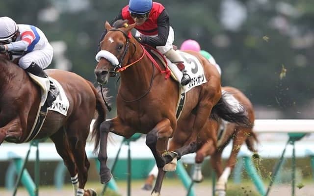 メジロダイボサツ産駒唯一の現役馬が初勝利、中京1R障害未勝利でストレートパンチがV