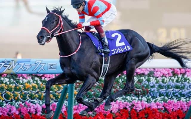 【本日の注目ポイント】無敗の二冠馬コントレイルが始動！