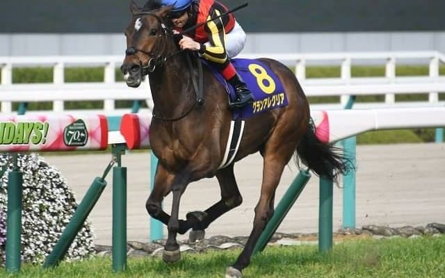 【スプリンターズS予想オッズ】グランアレグリアが予想1番人気