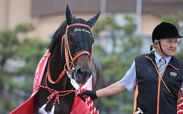 【マイルCS南部杯】インティ、ゴールドドリーム、サンライズノヴァなどJRA出走予定馬が発表