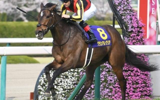 国内はGIスプリンターズS、海外は仏G1凱旋門賞に注目/今週の競馬界の見どころ