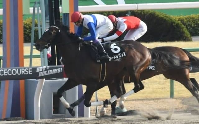【白山大賞典】武豊騎手で3戦3勝のロードレガリスらが参戦！/見どころ