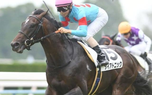 【スプリンターズS展望】秋のGI戦線がいよいよ開幕！あの馬の巻き返しを期待したい