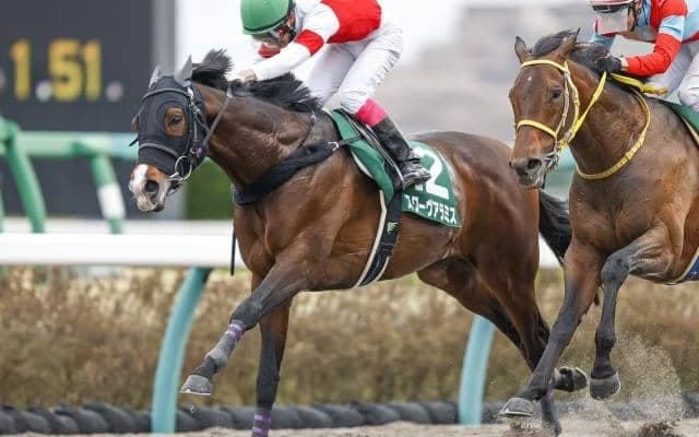 【シリウスS】フルゲート16頭に18頭　賞金上位に水曜出走の馬も/出走馬決定順
