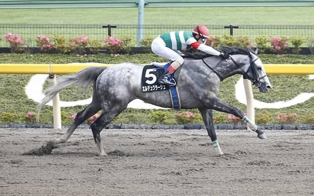 【金沢・白山大賞典予想】 加賀の伝統重賞はJRA勢が席巻!? 好メンバーが揃った一戦を制するのは？/地方競馬レース展望