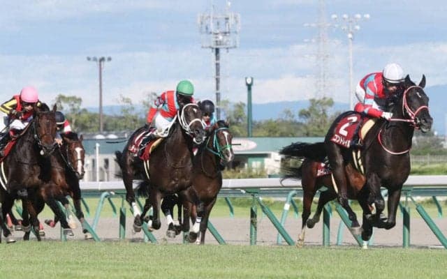 【神戸新聞杯】コントレイルが秋初戦を快勝！無傷の6連勝