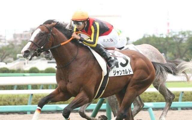 【新馬/中山5R】ハービンジャー産駒 ジャンカルドがデビューV！