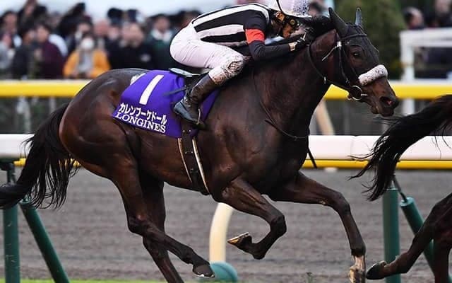 【次走】オールカマー2着カレンブーケドールはジャパンCへ