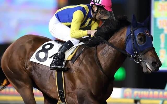 【千葉ダートマイル完勝のモジアナフレイバー、福永敏調教師「みんなで頑張っていきます」