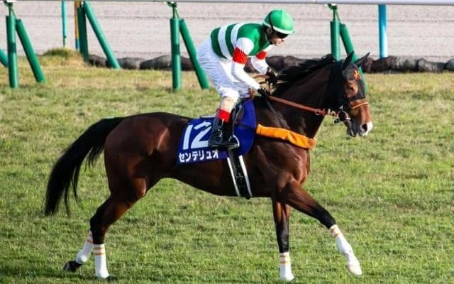 【次走】オールカマー覇者センテリュオはエリザベス女王杯へ向かう