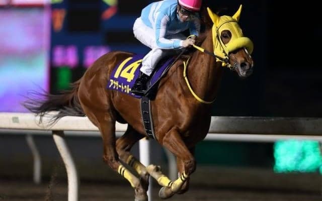 【日本テレビ盃予想】抜けた馬不在で高レベルの混戦模様!!/NARレース展望