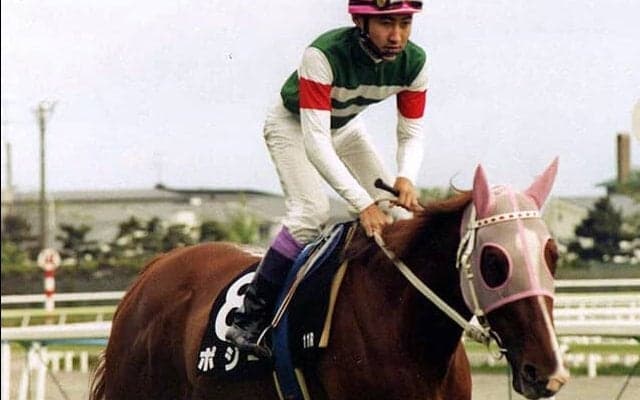 「ポジー」多くのファンから愛された1頭の牝馬