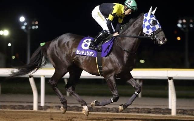 【姫山菊花賞予想】重賞馬センチュリオン、園田で地方重賞初制覇へ/NARレース展望