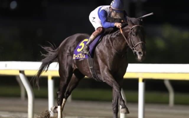 【日本テレビ盃】三浦皇成騎手「底知れぬ成長力を感じます」　ロードブレス重賞初V