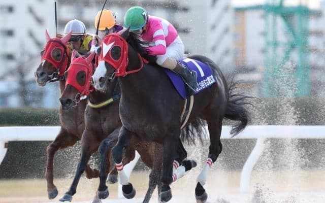 【ベイスプリント予想】アドマイヤムテキ、良績残す1400mで重賞2勝目へ/NARレース展望