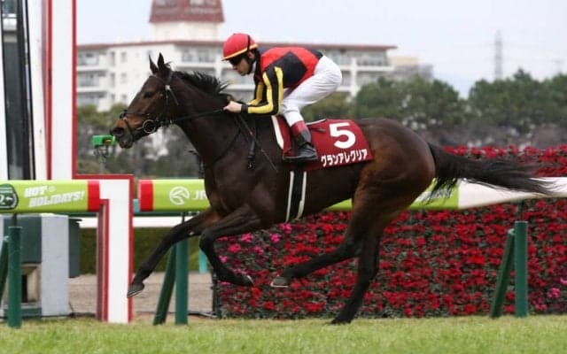 【スプリンターズS】出走馬の調教後の馬体重