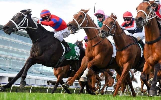 【豪州競馬】各地でG1開催、ターンブルSではC.ウォラー調教師の管理馬が上位独占