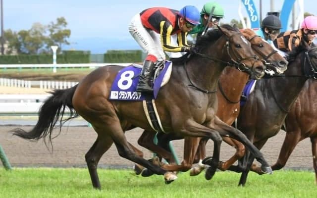 【スプリンターズS前日オッズ】グランアレグリアが2.5倍で1番人気