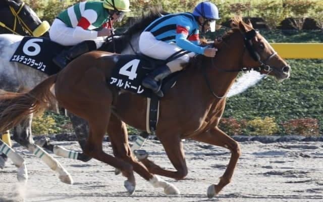【シリウスS予想】長く良い脚を使えるアルドーレに期待