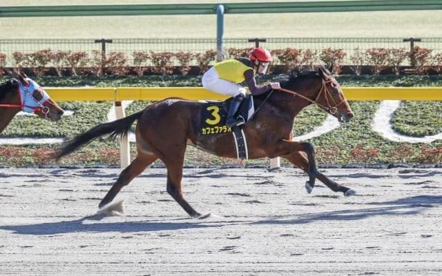 【本日の注目ポイント】中京でダート重賞・シリウスS、両場で2歳オープン、血統馬のデビュー戦など