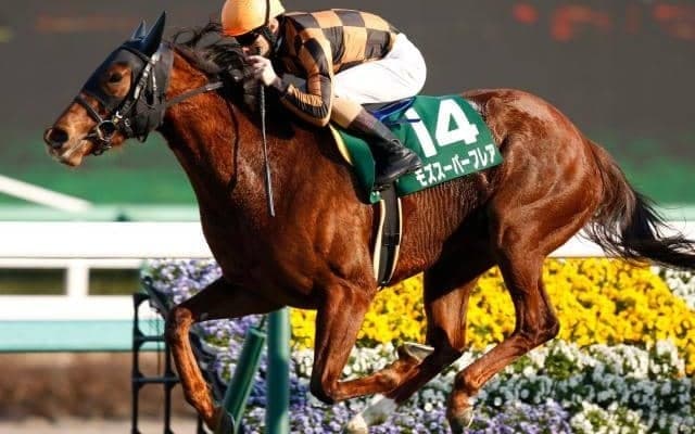 【本日の注目ポイント】秋のGI開幕！第一弾はスプリンターズS