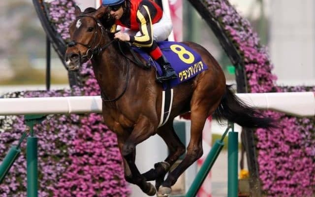 【スプリンターズS・馬体重】グランアレグリアは504kg(+12)、モズスーパーフレアは502kg(-6)