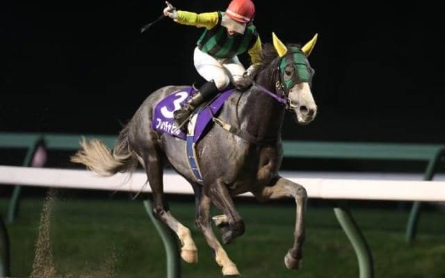 【盛岡・ダービーグランプリ結果】地元のフレッチャビアンカが4馬身差快勝