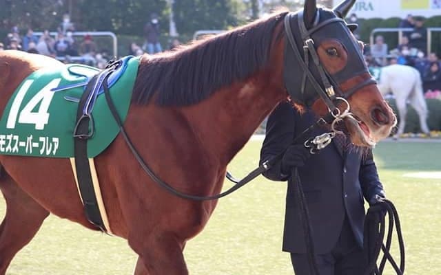 【スプリンターズS】ベストターンドアウト賞はモズスーパーフレアが受賞