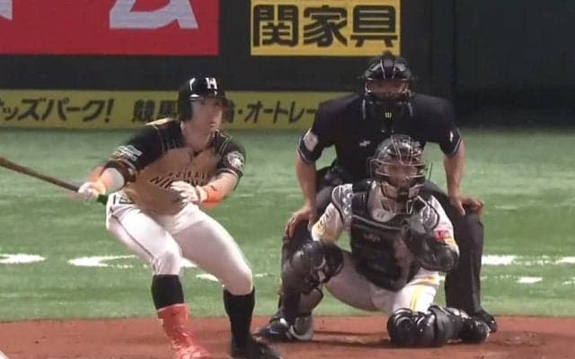 「とうとう変態打ちに手を出してきたか」ハム杉谷の“技あり打”にファン興味津々