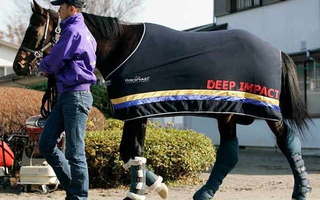 ディープインパクト産駒がJRA芝GI完全制覇に王手、グランアレグリアのスプリンターズS勝利で