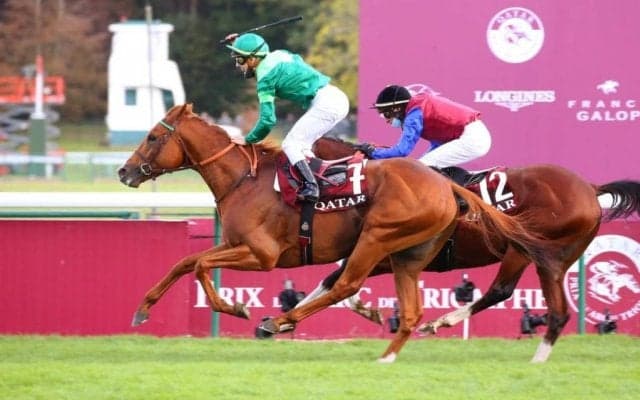 【凱旋門賞】日本のディアドラは8着 勝利したのはC.デムーロ騎乗のソットサス