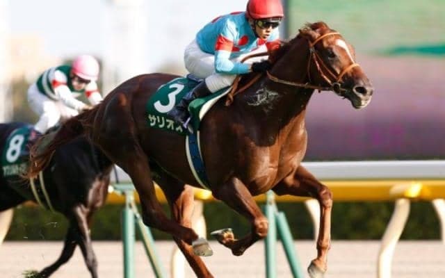 秋の東京・京都・新潟開幕！ 前哨戦の毎日王冠＆京都大賞典に注目/今週の競馬界の見どころ