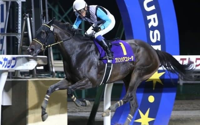 【大井・レディスプレリュード枠順確定】プリンシアコメータは7枠13番、マルシュロレーヌは5枠10番