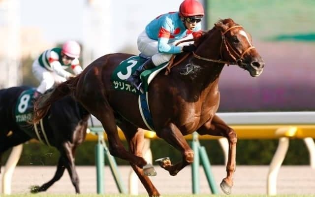 【毎日王冠 出走馬決定順】フルゲート18頭にサリオスら11頭、久々の重賞ウィナー・カイザーメランジェは重複登録