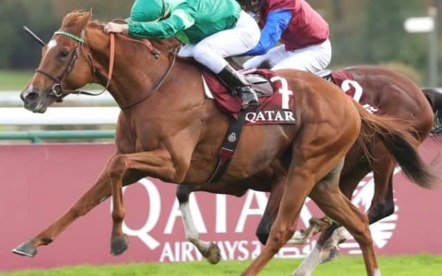 【凱旋門賞 談話】ディアドラの橋田満調教師「最後まで一生懸命に走ってくれました」